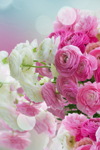 White and pink flowers, Bouquet, 240x320 wallpaper