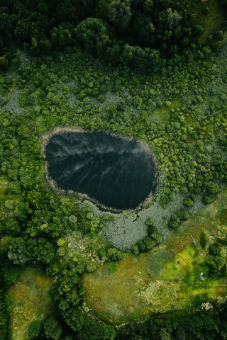 Oval lake, forest, nature, aerial view, 240x320 wallpaper