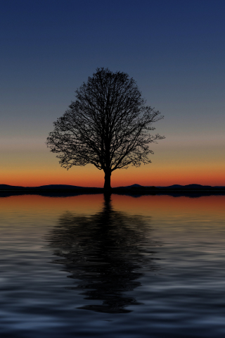 Sunset, silhouette, tree, lake, digital art, 240x320 wallpaper