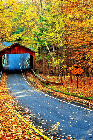 Highway, Cambron Covered Bridge, autumn, nature, 240x320 wallpaper