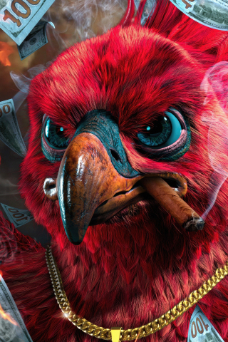 Crazy Phoenix, red bird, muzzle, 240x320 wallpaper