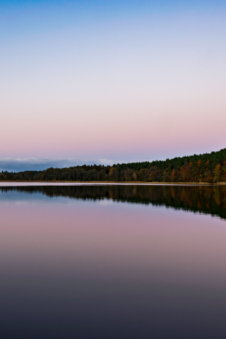 Lake, reflections, autumn, dawn, nature, 240x320 wallpaper