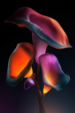 Iris flowers, dark, glowing neon, 240x320 wallpaper