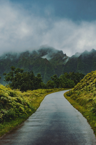 Road through green hills, mist, nature, 240x320 wallpaper
