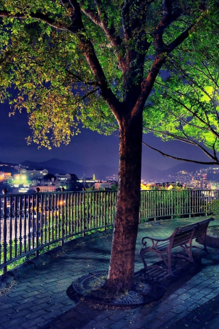 Beautiful cityscape, garden tree, night, city, 240x320 wallpaper