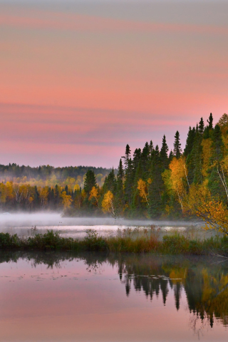 Autumn, reflections, landscape, lake, trees, nature, 240x320 wallpaper
