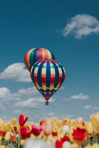 Hot air balloons, white-red-yellow tulips, farm, 240x320 wallpaper