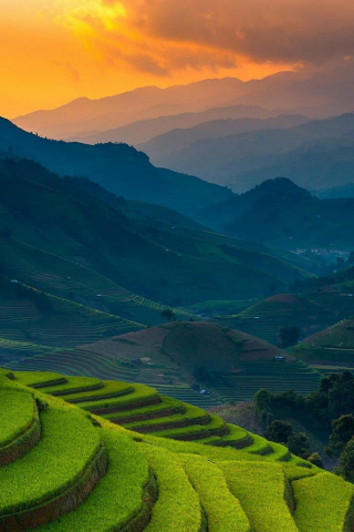 Rice farms, landscape, horizon, mountains, Philippines, 320x480 wallpaper