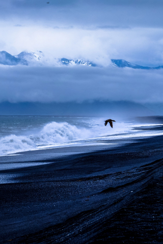 Bird, sea, flight, coast, sea waves, clouds, 240x320 wallpaper