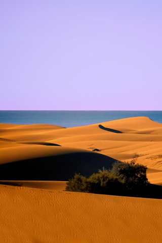 Dunes, desert, coast, sea, nature, 240x320 wallpaper