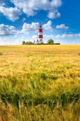 Landscape, farm, lighthouse, sunny day, 240x320 wallpaper