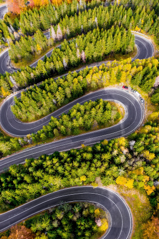 Winding road, highway, aerial view, forest, 240x320 wallpaper
