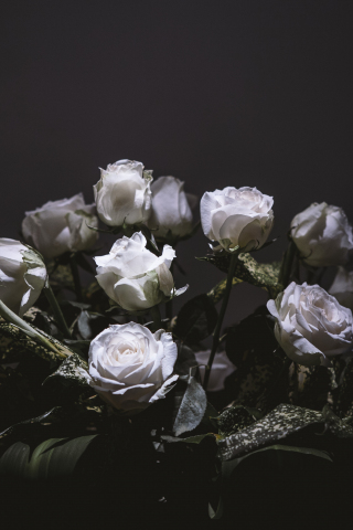 White roses, bouquet, portrait, 240x320 wallpaper