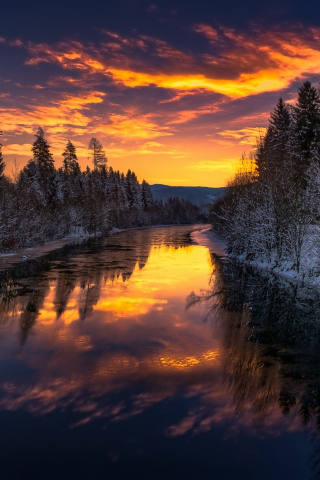 River, trees, winter, sunset, nature, 240x320 wallpaper