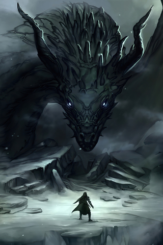 Dragon master and dragon, art, fantasy, 240x320 wallpaper