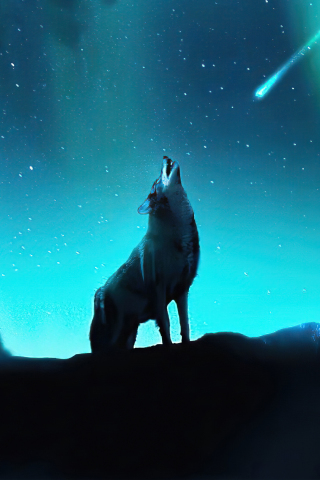 Fox howling, night, northern lights, stars, 240x320 wallpaper