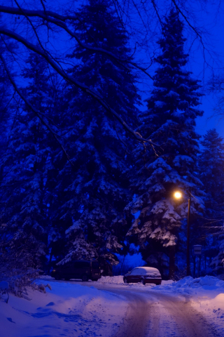 Winter, night, street lights, road, 240x320 wallpaper