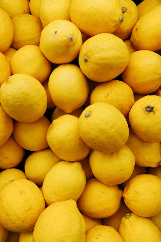 Lemons, citrus fruit, 240x320 wallpaper
