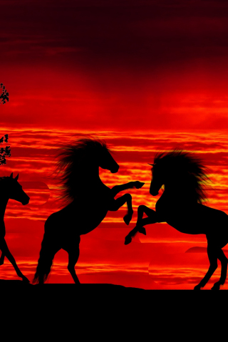 Sunset, silhouette, horses, herd, 240x320 wallpaper