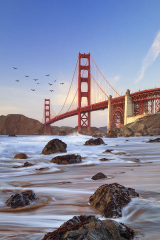 Bridge, coast, Golden Gate Bridge, 240x320 wallpaper