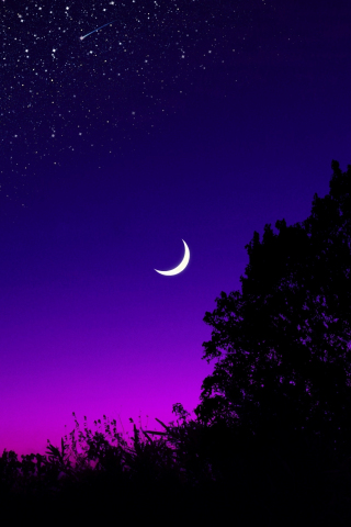 Moon, tree, starry night, silhouette, minimal, 240x320 wallpaper