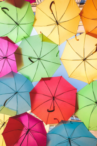 Decorative, colorful, umbrella, 240x320 wallpaper