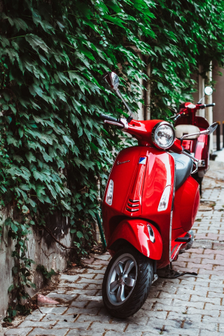 Red Vespa, scooter, 240x320 wallpaper