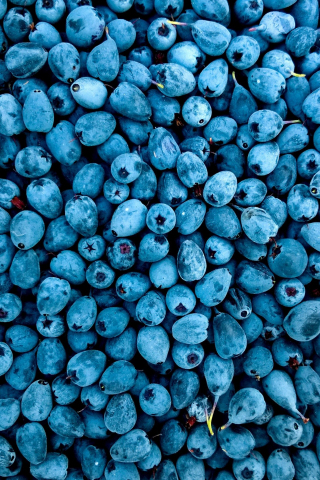 Abundance, fruit, blueberries, 240x320 wallpaper
