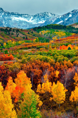 Autumn season, trees, mountains, horizon, nature, 240x320 wallpaper