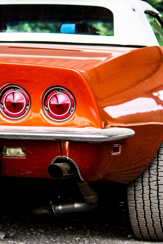 Auto, rear, Chevrolet Corvette, 240x320 wallpaper