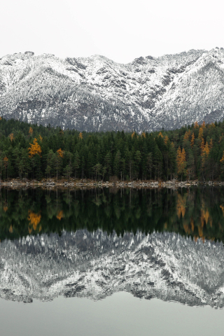 Mountains, reflections, lake, tree, 240x320 wallpaper