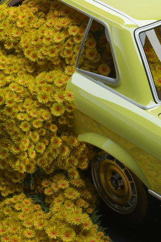 Car and flowers, Mercedes-Benz classic, 240x320 wallpaper