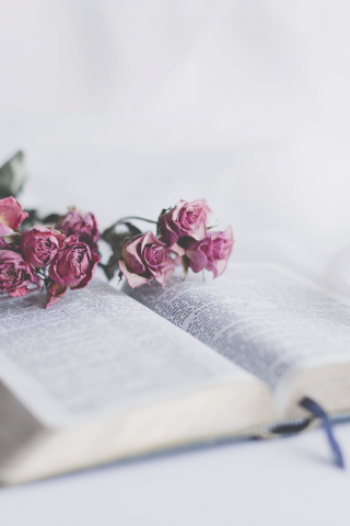 Book and roses, flowers, 240x320 wallpaper