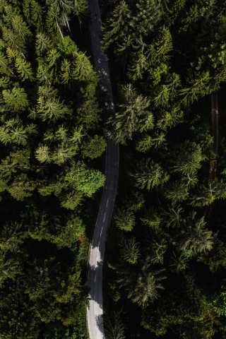 Road through woods, aerial view, trees, Black Forest, Germany, 240x320 wallpaper