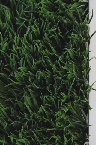 Grass, green, cube, indoor, close up, 240x320 wallpaper