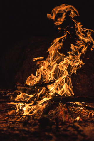 Firewood, night out, dark, fire, 240x320 wallpaper