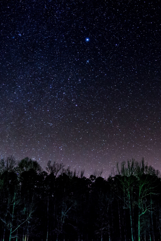 Starry night, stars, sky, trees, 240x320 wallpaper