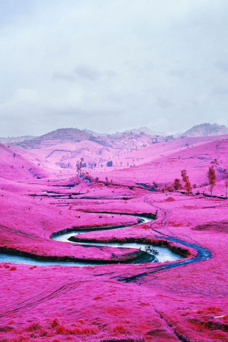 River, valley, pink blossom, landscape, 240x320 wallpaper