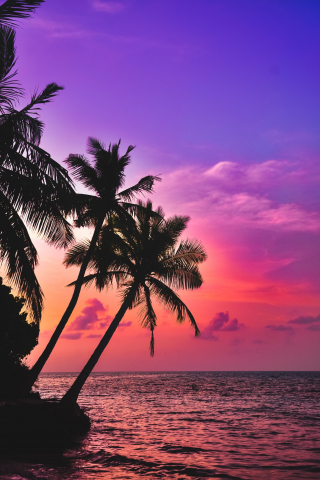 Tropical island, beach, pink sky, sunset, palms, 240x320 wallpaper