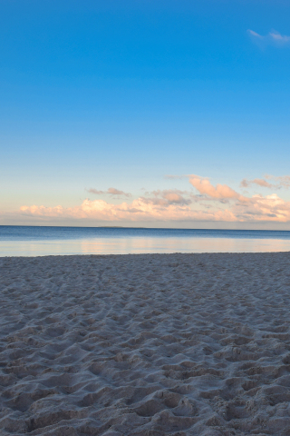 Beach, dawn, sand, blue skyline, sea, 240x320 wallpaper