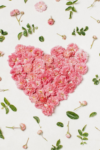 Heart, pink flowers, leaves, 240x320 wallpaper