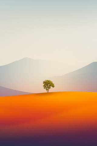 Lone tree, landscape, gradient desert, artwork, 240x320 wallpaper