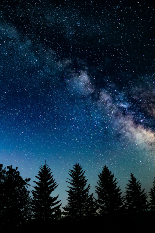 Night in wood, Galaxy, starry sky, nature, 240x320 wallpaper