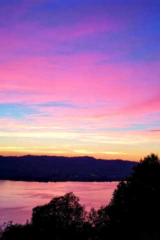 Lake, sunset, blue-pink sky, silhouette, 240x320 wallpaper