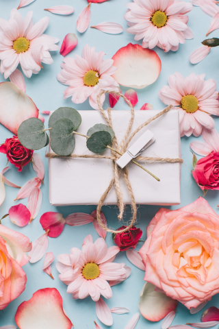 Flowers, roses, petals, gift box, 240x320 wallpaper