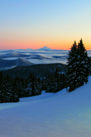 Mount Hood, winter, sunrise, landscape, 240x320 wallpaper