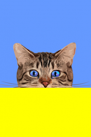 Cat, muzzle, blue eyes, minimal, art, 240x320 wallpaper
