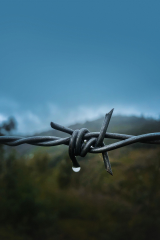 Close up, Barbed wire, 240x320 wallpaper
