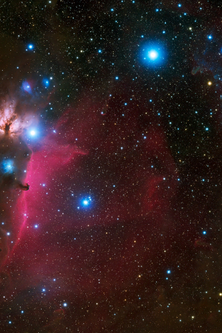 Horsehead, nebula, space, galaxy, stars, universe, 240x320 wallpaper