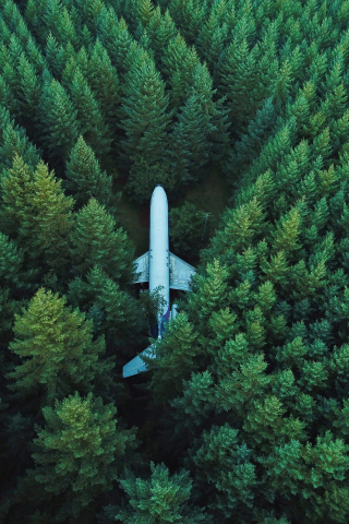 Airplane, aircraft, trees, aerial view, 240x320 wallpaper